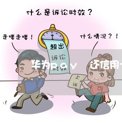 华为pay 还信用卡/2023072351614